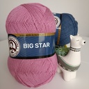 Madame Tricote Paris Big Star [3]