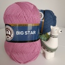 Madame Tricote Paris Big Star [3]