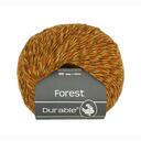 Durable Forest [1]