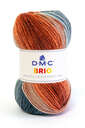DMC Brio [1]